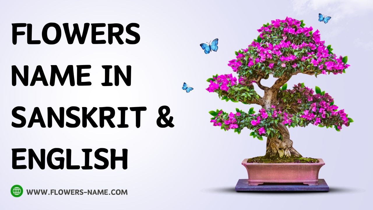 Flowers Name in Sanskrit